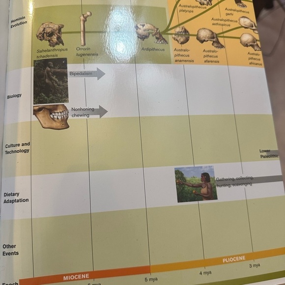 Essentials of Biological Anthropology 4th Ed. Clark Spencer Larsen - Picture 12 of 13